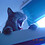 Meeoow